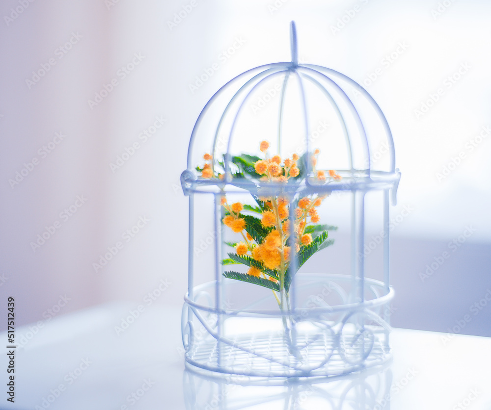 branch in a cage branch in a cage