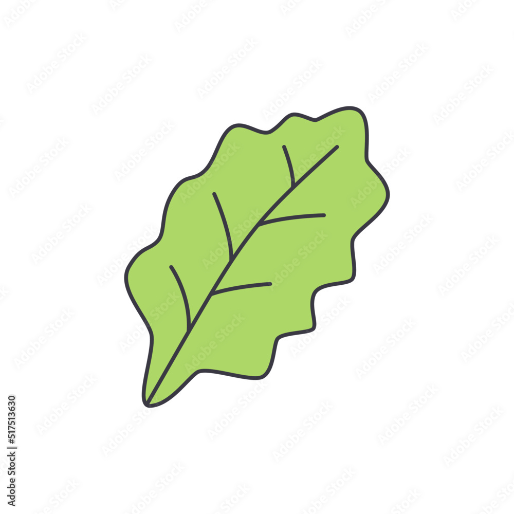 green leaf icon in color, isolated on white background green leaf icon in color, isolated on white background