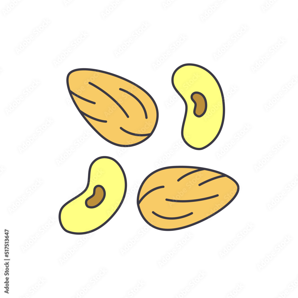 Nut icon in color, isolated on white background Nut icon in color, isolated on white background