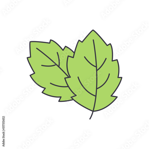 menthol leaf icon in color, isolated on white background 