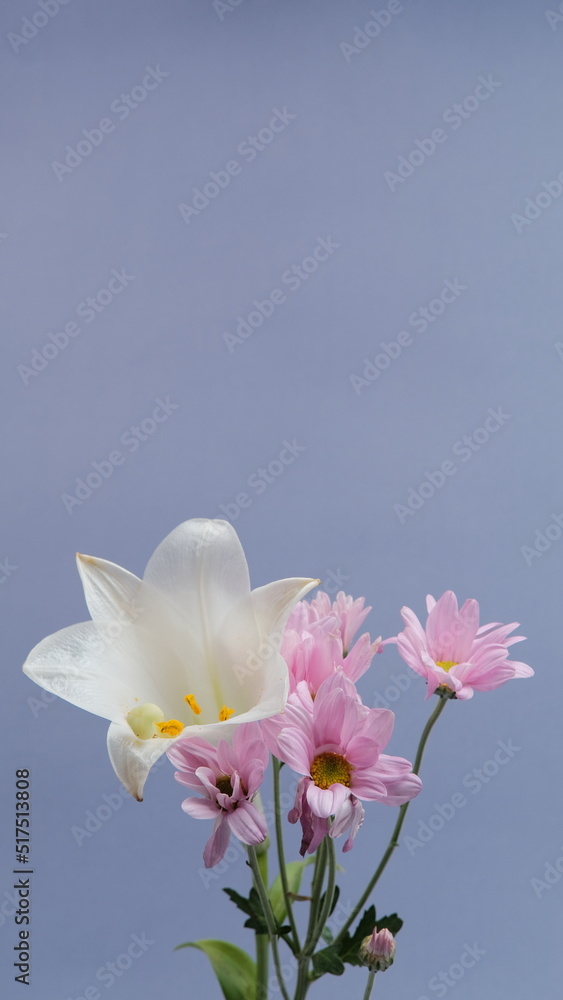 White daisy and other flowers. purple background. elegant look, simple concept.