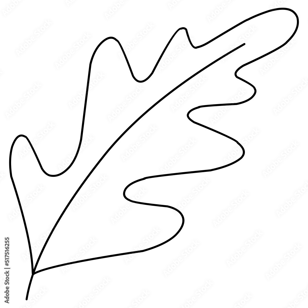 Oak leaf line art Oak leaf line art
