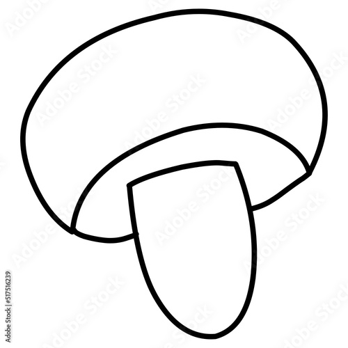 boletus line art 