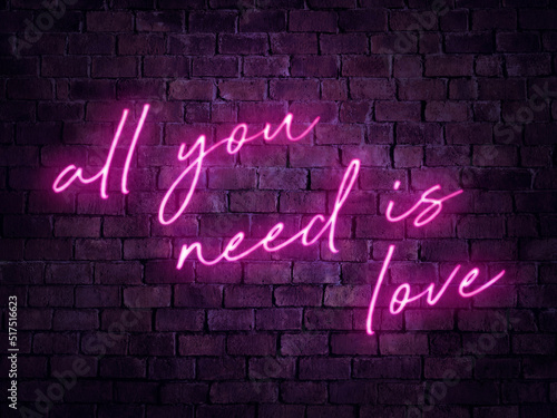 Wall Mural An all you need is love neon sign