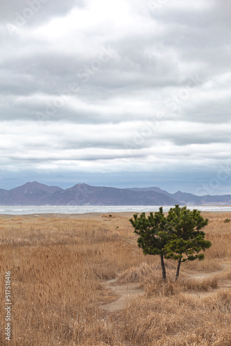 road to the sea
