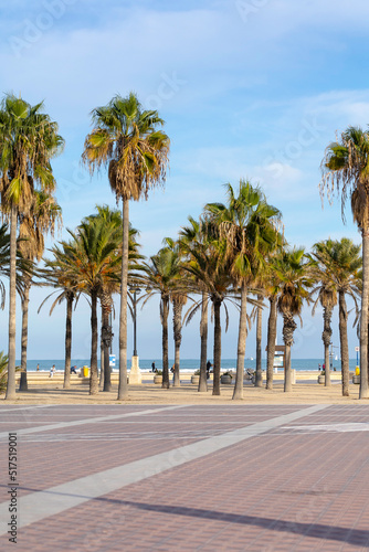 Summer vibes on the sunny autumn beach of Malvarrosa in Valencia, Spain. A long embankment avenue with palm trees on the sea coast attracts vacationers to solitary walks along the bubbling foamy waves