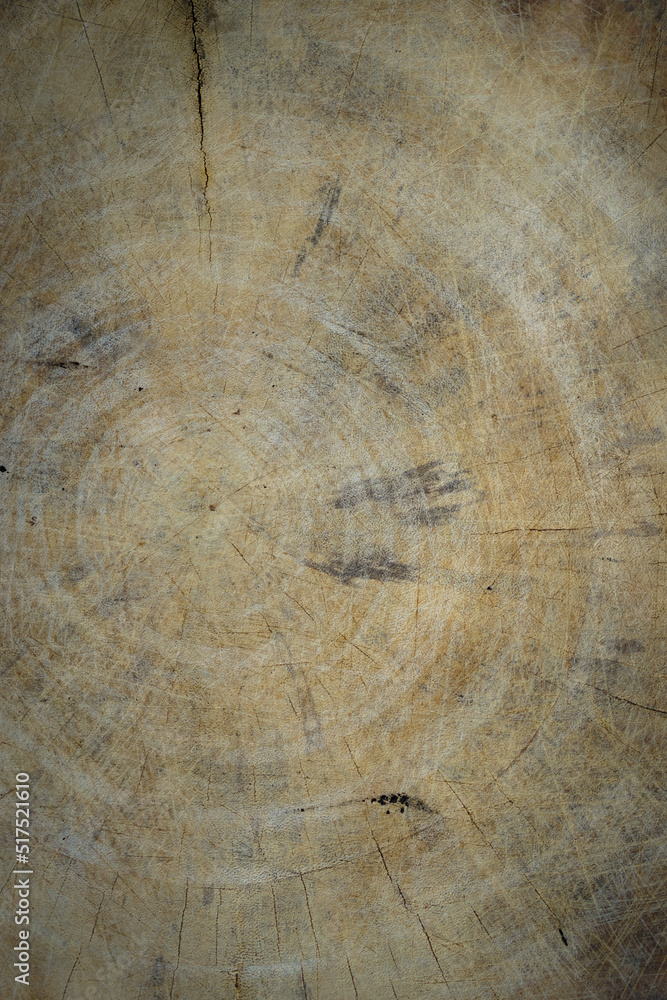 Fototapeta premium Wood texture background. Old wood wallpaper. vintage style 