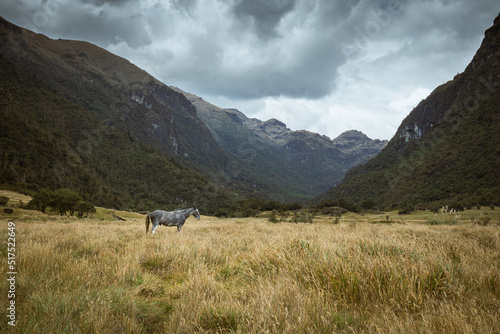 Landscape of Cajas National Park, Ecuador