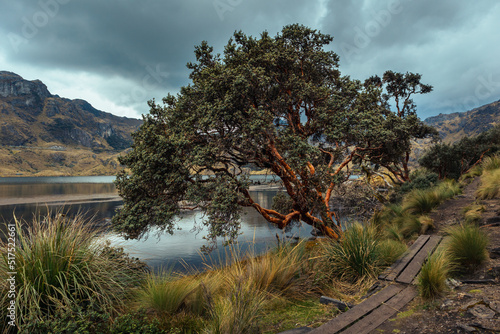Landscape of Cajas National Park, Ecuador