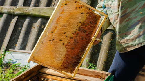The beekeeper works in the apiary. Beehive and honey production. Work at home apiary. Swarm of bees.