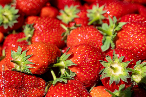 Fresh organic red ripe strawberries. Juicy delicious strawberries