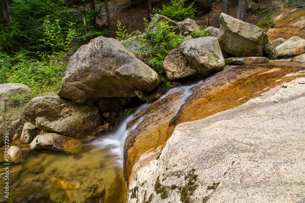 waterfalls with ferns in summer waterfalls with ferns in summer