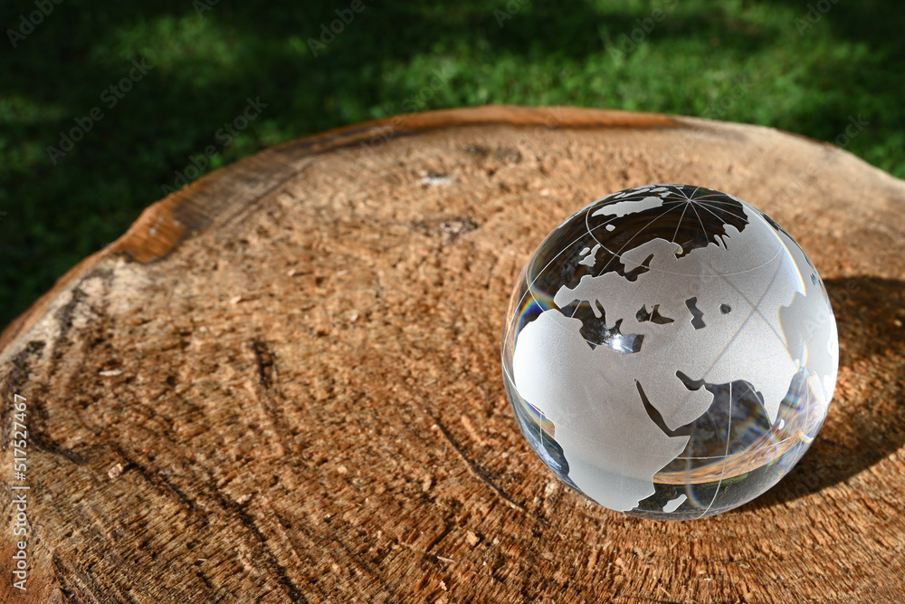 ガラスの地球儀（ヨーロッパ・アフリカ周辺）　SDGs  環境保護 イメージ　glass globe on the stump of a tree - obrazy, fototapety, plakaty 