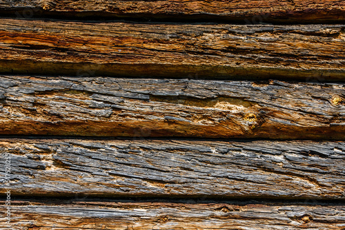 Texture of the logs damaged by wood pests. Wooden pattern for background