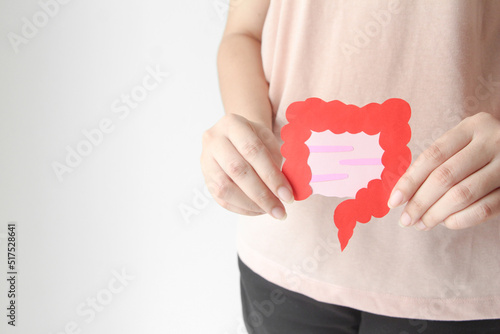 Hand holding intestine shape, healthy bowel digestion, colon, gastric, stomach cancer concept