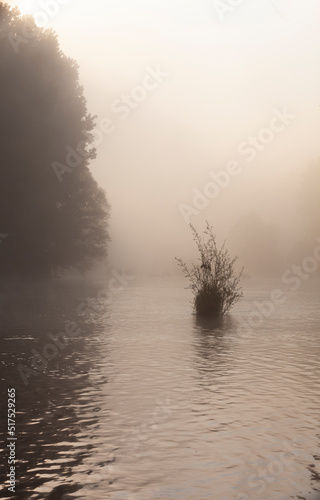 Amanecer invernal en un río entre bruma (niebla). Agua, paisaje.