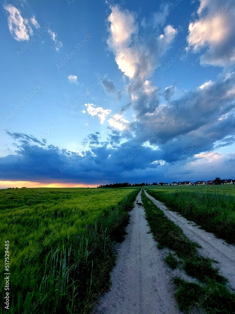 Naklejka premium road to the sky