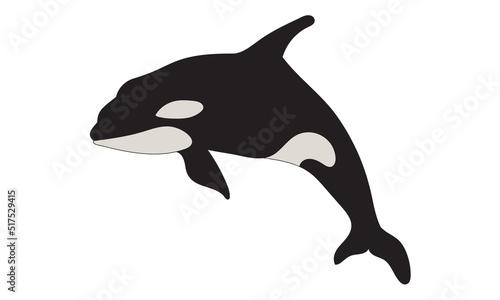 whale illustration vector design