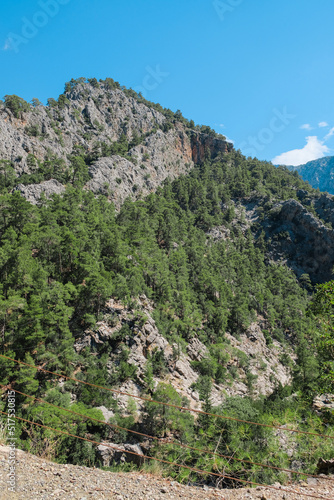 landscape in the mountains