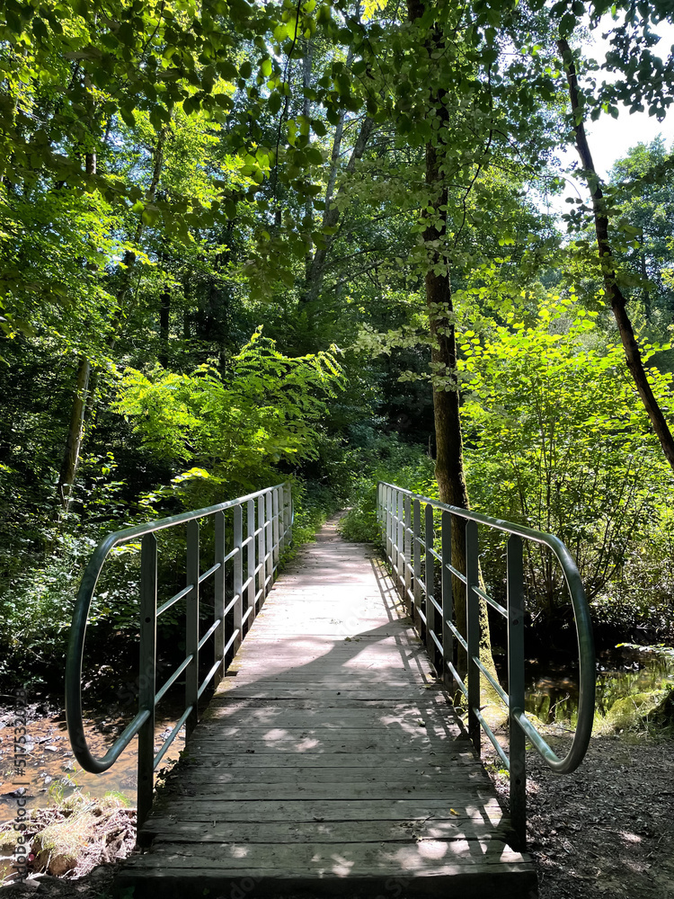 Passerelle et Nature
