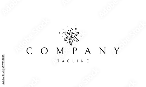 Vector logo on which an abstract image of a starfish in a linear style on a background of stars.