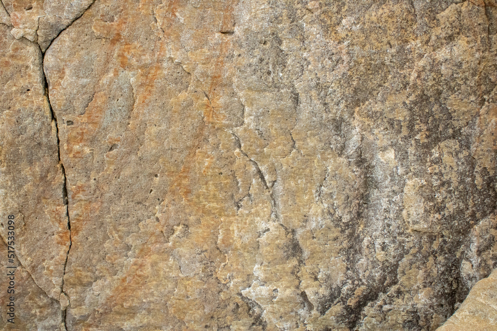 Close-up of the surface of marine rocks at low tide