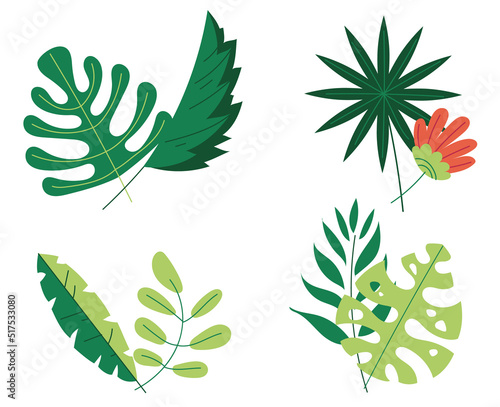 Jungle tropical floral leaves isolated concept set. Vector flat graphic design illustration