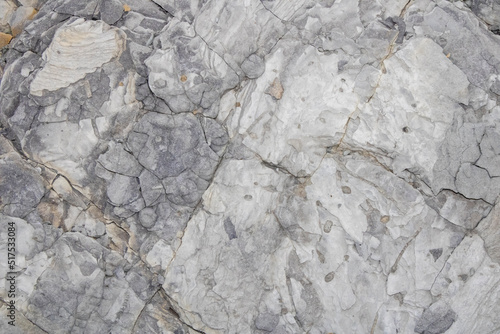 Close-up of the surface of marine rocks at low tide