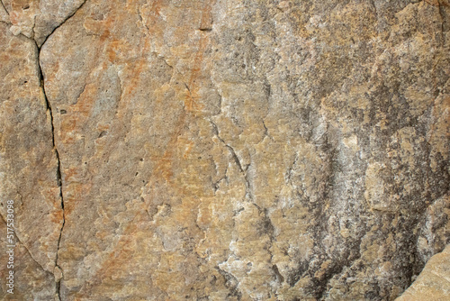 Close-up of the surface of marine rocks at low tide