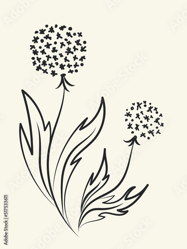 Vector image of dandelions in the lineart style isolated on a white background.