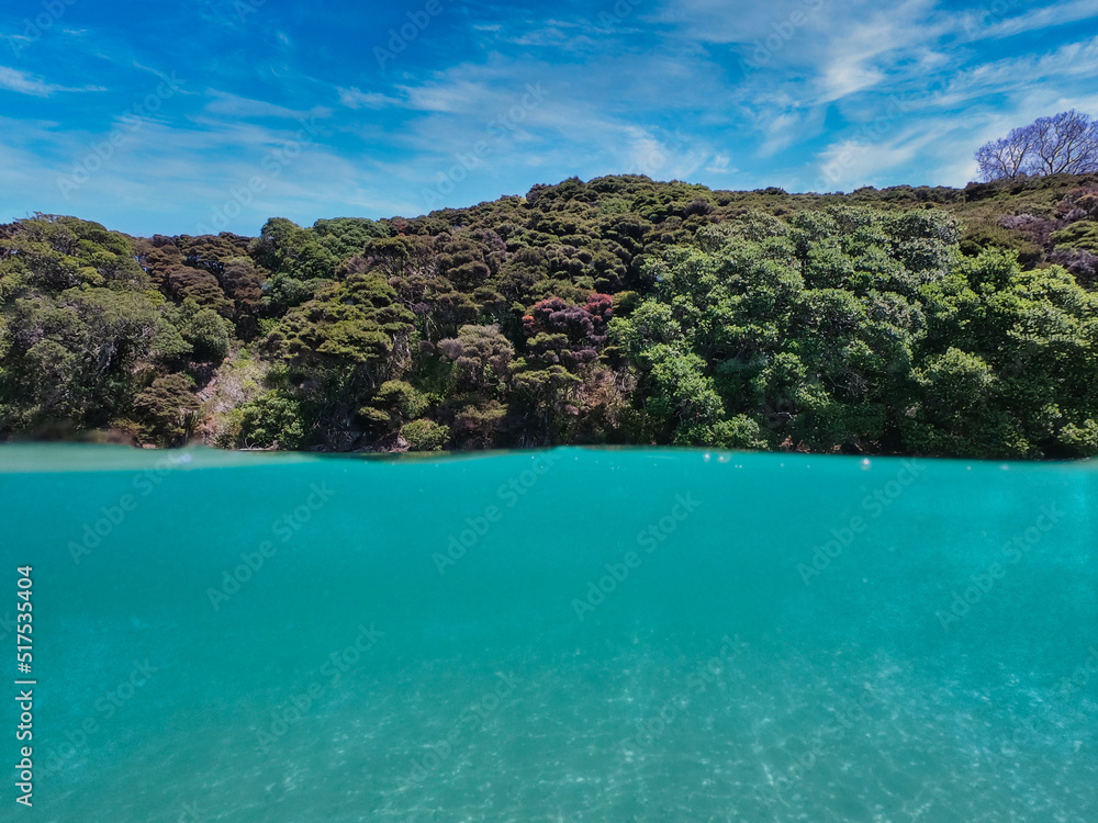 Split shot of under and above the water looking at a lush tropical forest at the Bay of Islands area in New Zealand. Amazing turquoise-colored water in a beautiful travel destination. 