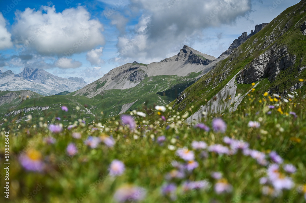 Ausblick in den Schweizer Alpen