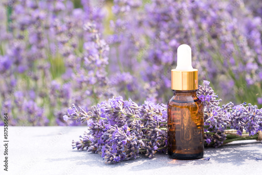 Dropper bottle with lavender cosmetic oil or hydrolate against lavender flowers field as background with copy space. Herbal cosmetics and modern apothecary concept. Lavender essence Dropper bottle with lavender cosmetic oil or hydrolate against lavender flowers field as background with copy space. Herbal cosmetics and modern apothecary concept. Lavender essence