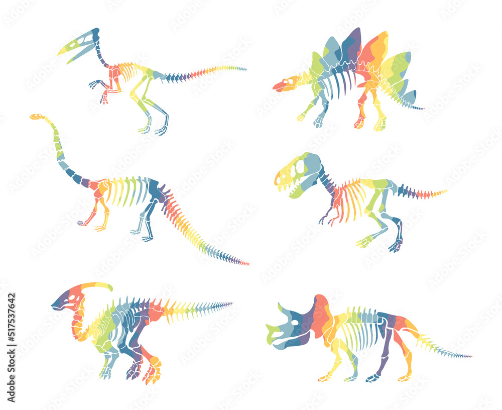 Fototapeta premium Vector set with rainbow dinosaur skeleton isolated on a white background.