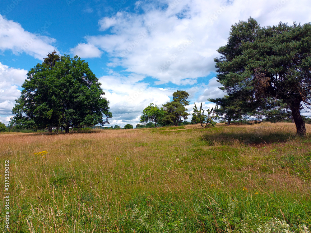 Naturschutzgebiet Blumenrather Heide bei Virneburg im Landkreis Mayen-Koblenz in der Eifel / Vulkaneifel. Aussicht vom Premium-Wanderweg Traumpfad Virne-Burgweg. Naturschutzgebiet Blumenrather Heide bei Virneburg im Landkreis Mayen-Koblenz in der Eifel / Vulkaneifel. Aussicht vom Premium-Wanderweg Traumpfad Virne-Burgweg.