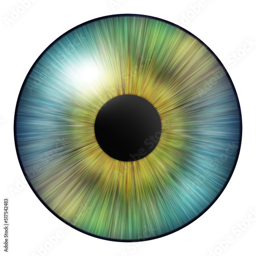 Human iris. Iris of the eye. Eye illustration. Creative graphic design.