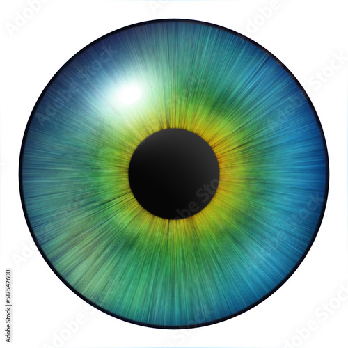Iris of the eye. Human iris. Illustration of an eye. Multicolored eye on a white background.
