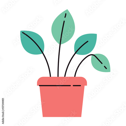 Home plant isolated on white background icon concept graphic design element flat