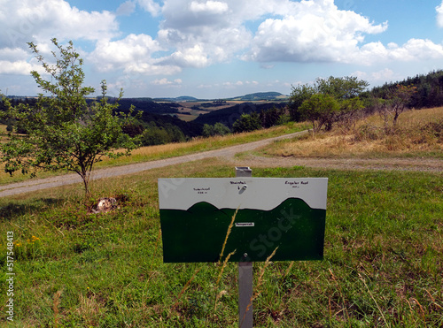 Eifellandschaft mit grünen Hügeln und Wiesen im Sommer bei Langscheid im Landkreis Mayen-Koblenz. Blick auf die Berge Hilsberg, Perlerkopf, und Engeler Kopf. photo