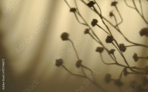 zdjęcie tekstury przedstawiające cień gałęzi z kwiatami na beżowym tle