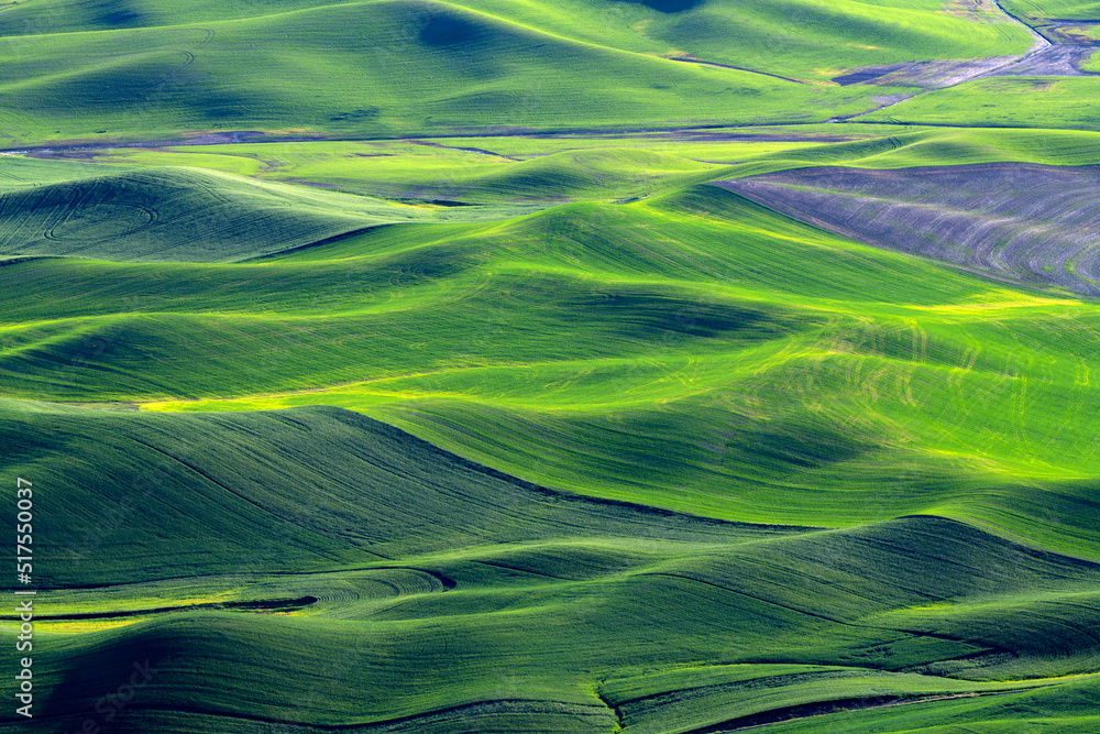 Rolling hills of the Palouse of Eastern Washington