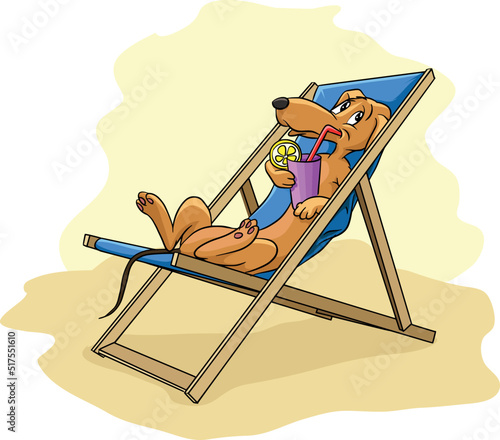 dachshund lying on the sunbed. drinking lemonade illustration, vector, EPS, cartoon