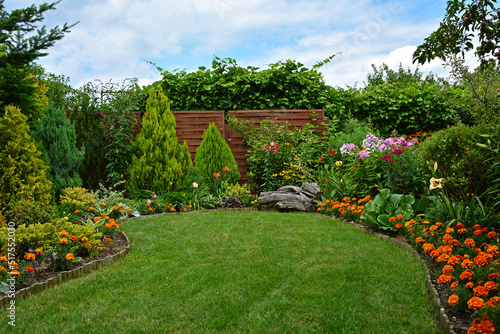zielony trawnik w ogrodzie otoczony krzewami ozodbnymi i kolorowymi kwiatami, beautiful garden with shrubs, lily, marigold and conifers, designer garden 