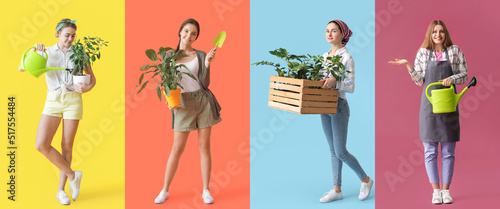 Set of female gardeners with plants on colorful background