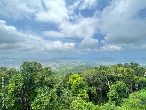 clouds over the forest