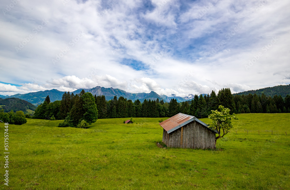 beauty daily landscape of an old wooden house on a green field