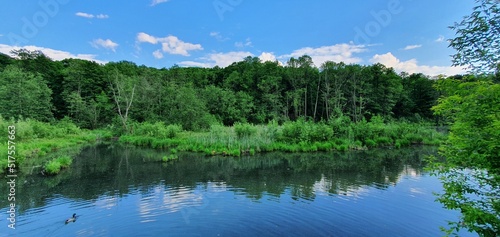 Ripples of water on the river, green grass and dense forest