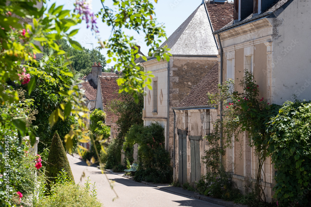 Fototapeta premium The small village of Chedigny in the Loire Valley, central France. The village has been turned into a giant garden and is known as a garden village or 'Remarkable Garden'. It bursts with colour.