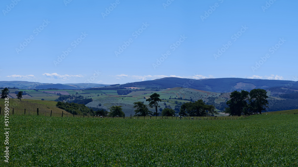 Fence across a green field and rolling hills in the British countryside in summer under blue sky