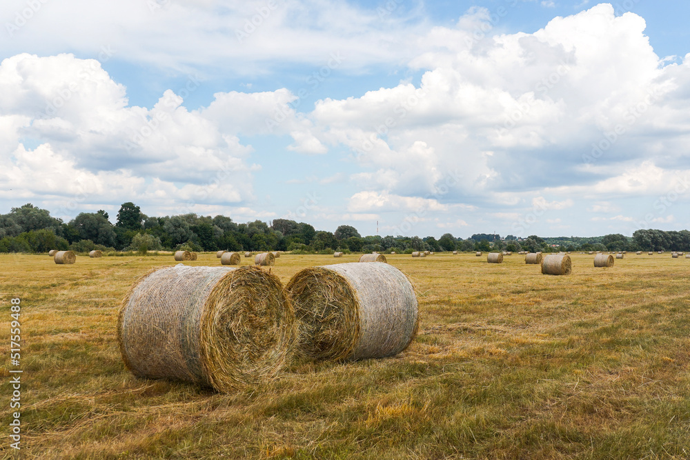 Two rolls of hay in an agricultural field with dry grass and blue skies with clouds in summer Two rolls of hay in an agricultural field with dry grass and blue skies with clouds in summer